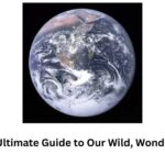 Earth: The Ultimate Guide to Our Wild, Wonderful Planet